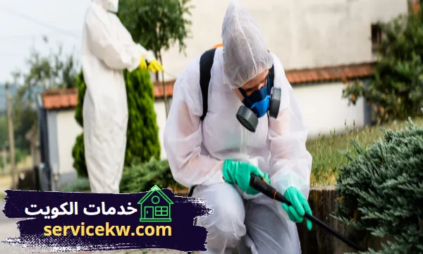 شركة مكافحة حشرات بالكويت افضل شركات رش الحشرات