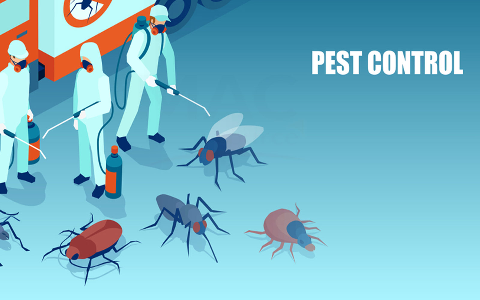 مكافحة حشرات الفروانية Kuwait servicesKuwait services