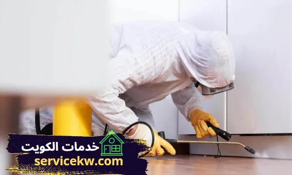 افضل شركة مكافحة حشرات حولي بالكويت