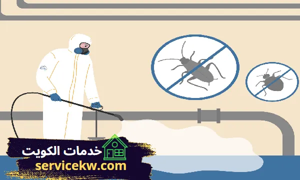 خدمات مكافحة حشرات حولي