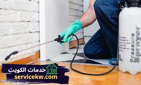 شركة مكافحة حشرات الجهراء رقم مكافحة قوارض ورش الحشرات