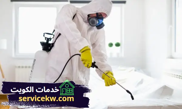 مكافحة القوارض والفئران بالكويت