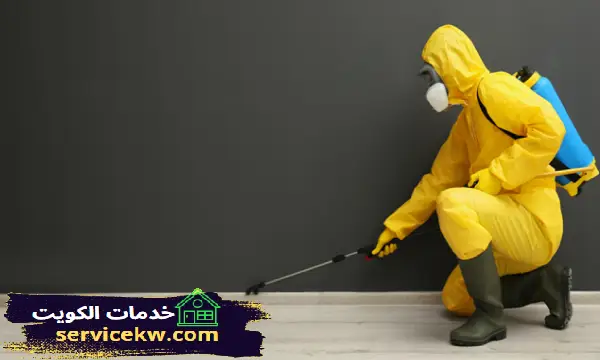 شركة مكافحة حشرات الأحمدي الكويت مكافحة القوارض والذباب