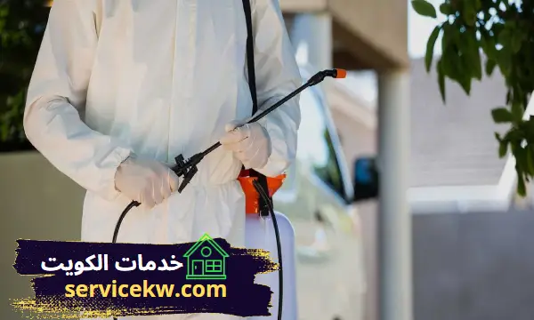 مكافحة حشرات السلام افضل شركة للقضاء علي الحشرات بالكويت