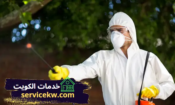 شركة مكافحة حشرات و قوارض جنوب عبدالله المبارك بالكويت
