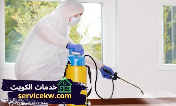 شركة مكافحة حشرات الاحمدي مكافحة القوارض الكويت