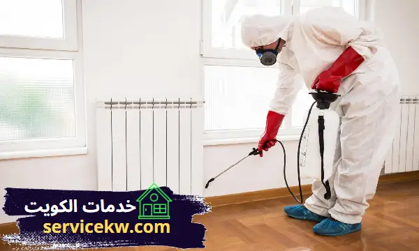 مكافحة حشرات المنزل بالاحمدي