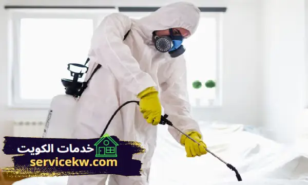 أسعار شركة مكافحة الحشرات الصباحيه