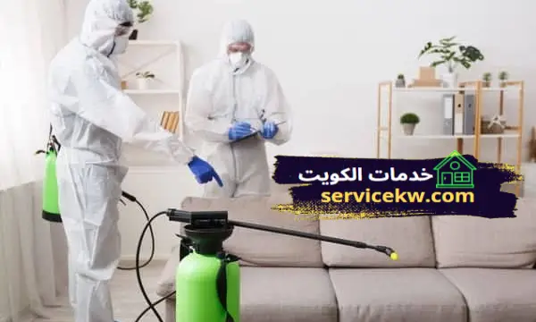 القضاء على حشرات وقوارض الصباحية