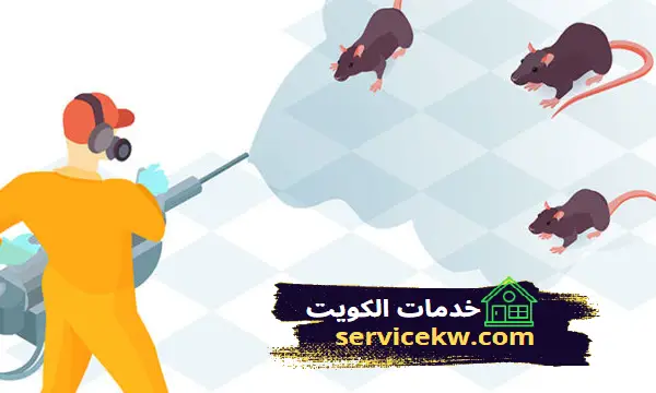 شركة مكافحة الفئران والجرذ بالكويت