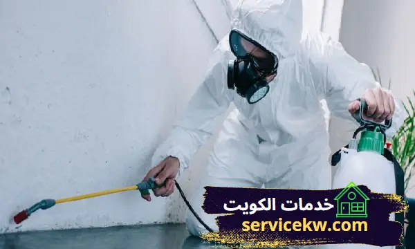 افضل شركة مكافحة النمل الابيض بالكويت