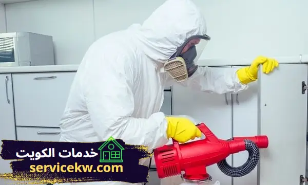 شركة مكافحة حشرات الفحيحيل افضل شركة رش الحشرات بالكويت