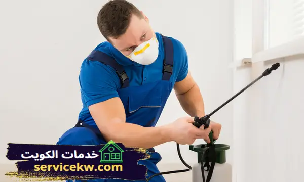 شركة مكافحة حشرات السالمية بالكويت