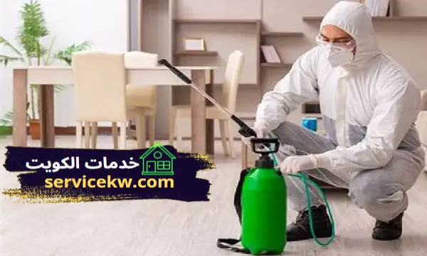 أفضل شركة مكافحة حشرات المهبولة
