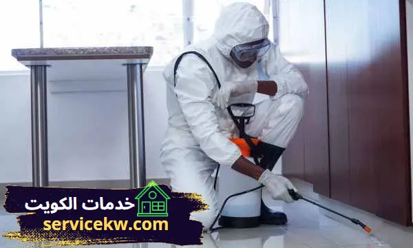 أفضل شركة رش حشرات بالكويت رش المنزل بسعر رخيص
