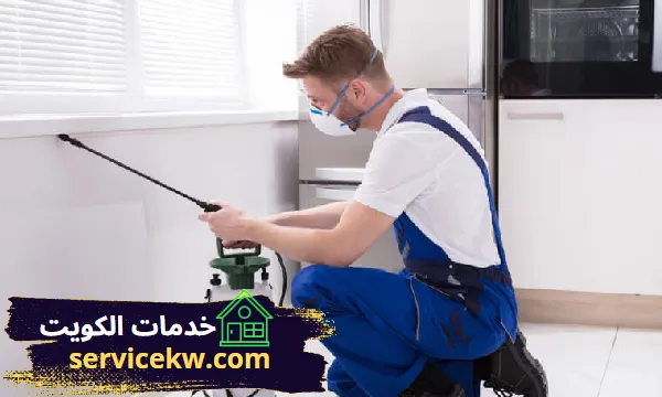أفضل شركة رش حشرات