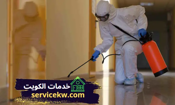 شركة مكافحة حشرات مبارك الكبير