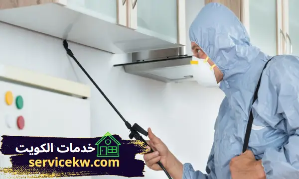 مكافحة حشرات الجابرية افضل شركة رش الحشرات بالكويت