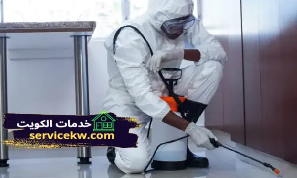 شركة مكافحة حشرات الفنيطيس رش الحشرات بالكويت